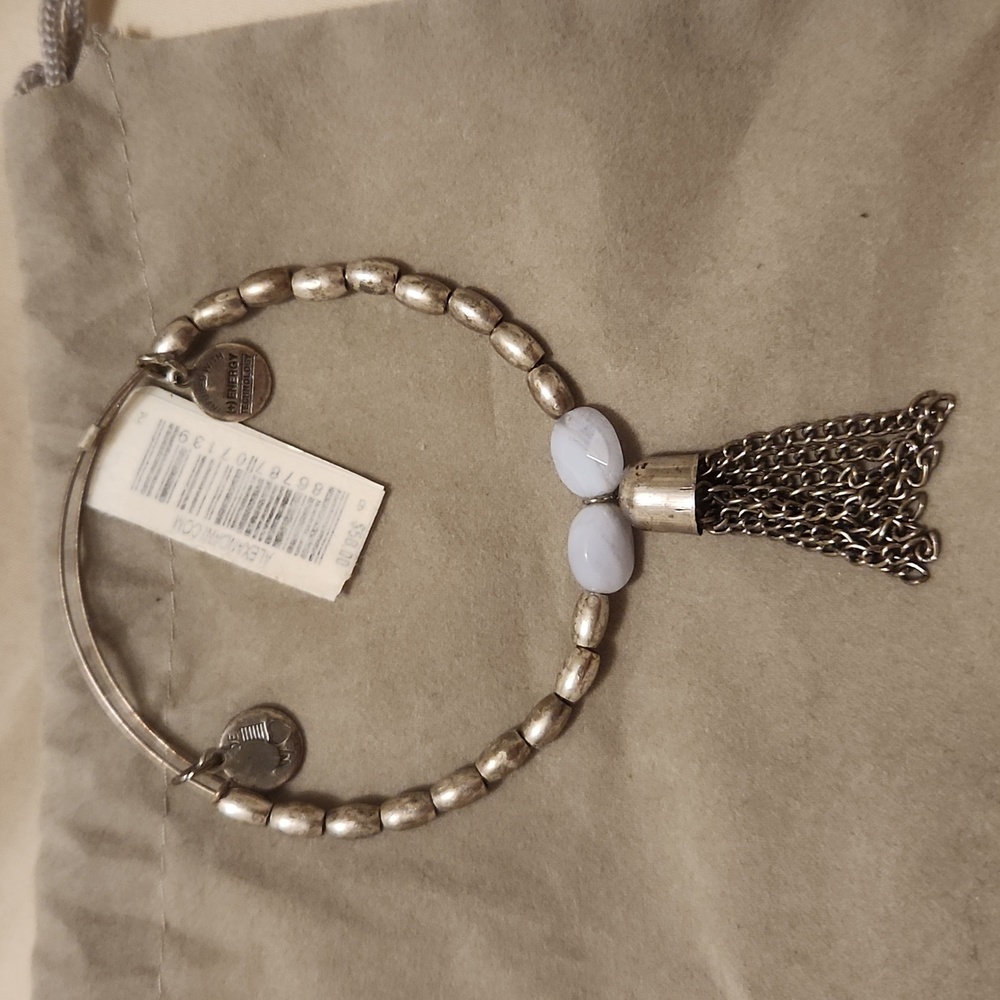 Alex and Ani artist's palette bracelet cloud and rafaelian silver